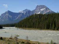 Mount Geraldine und Mount Fryatt mit Athabasca River - Jasper NP